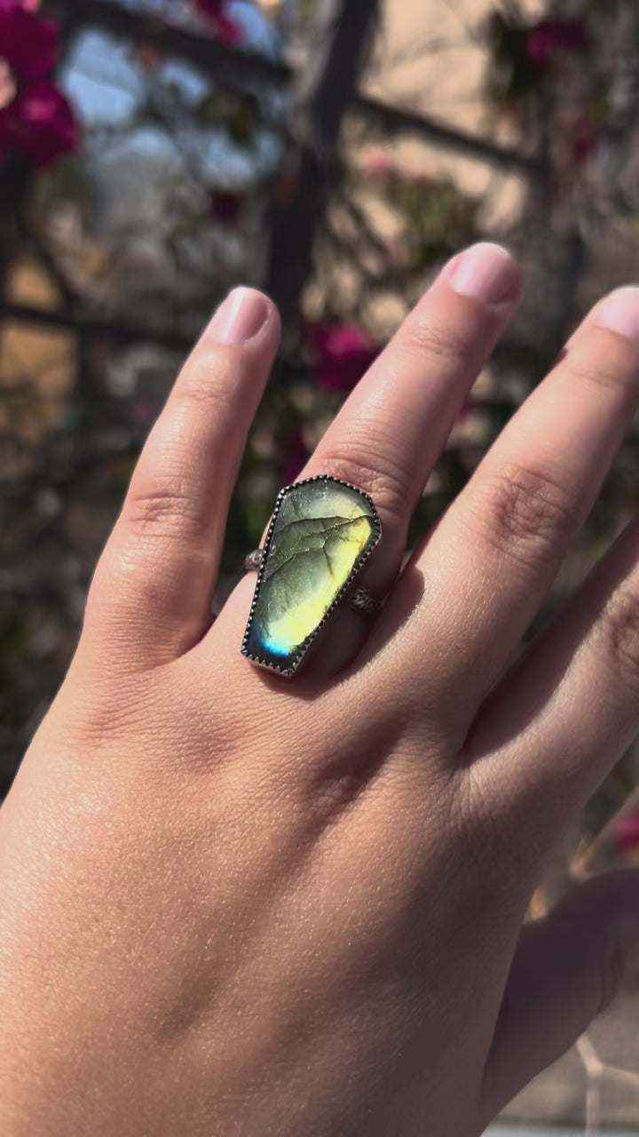 Labradorite Coffin Ring - Size 8